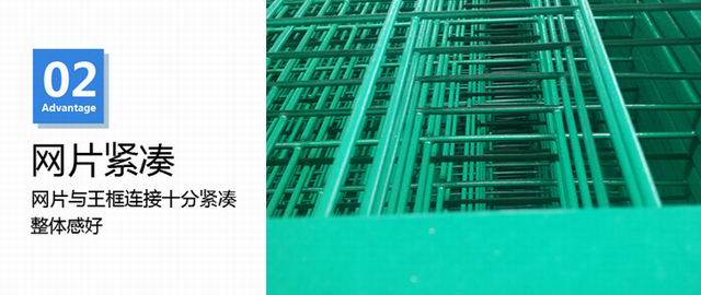 在貝 拷東方貝.jpg