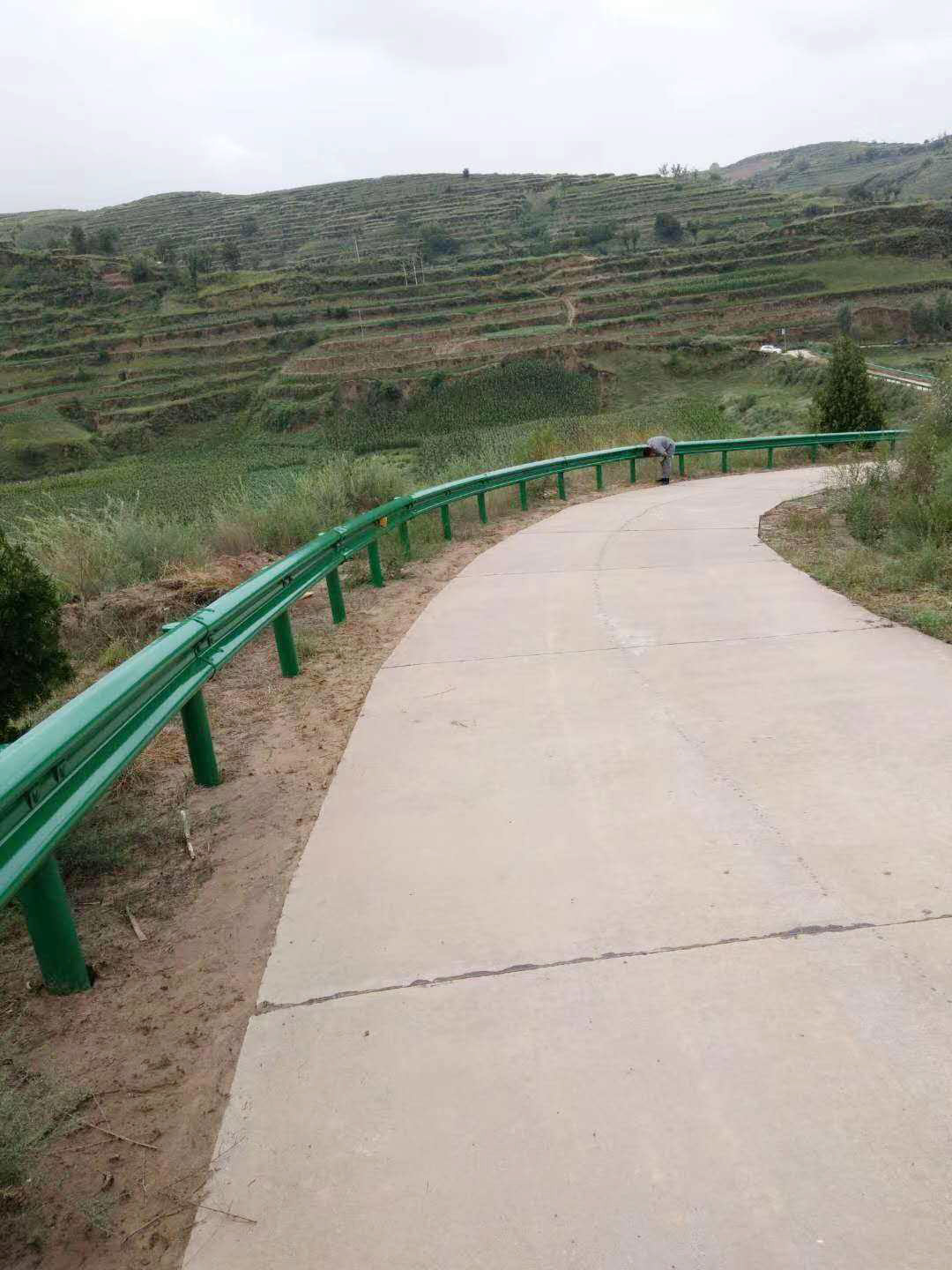 波形護欄.jpg